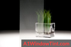 illumina_sh2fgimg_rgb_J