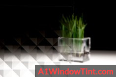 prism_sh2csps_silver_rgb_J