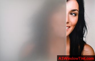 SX-C300_DustedEtch_333x213