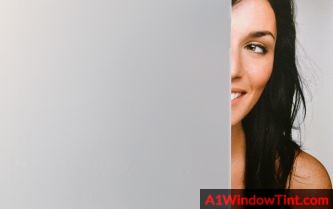 SXWF-SM_SilverMatte_333x209